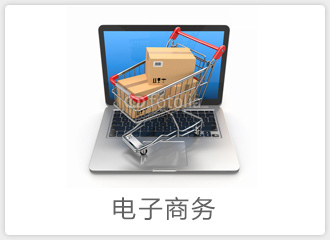 電(diàn)子(zǐ)商務